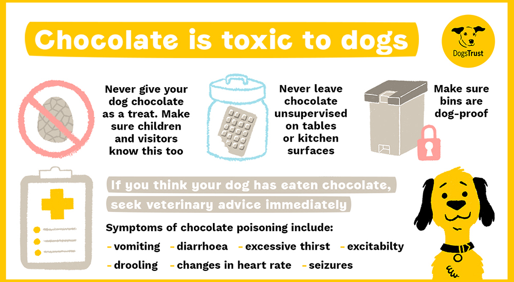 Top tips for dogs around Easter