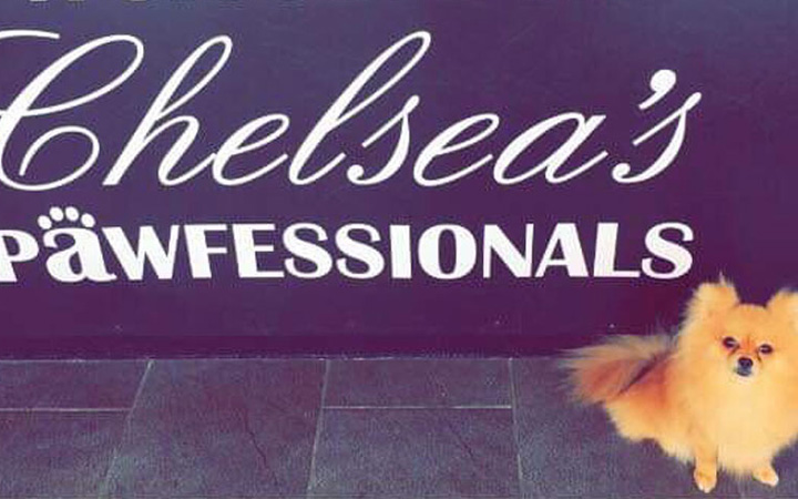 Chelsea's Pawfessionals image 1