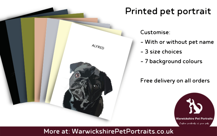 Warwickshire Pet Portraits image 3