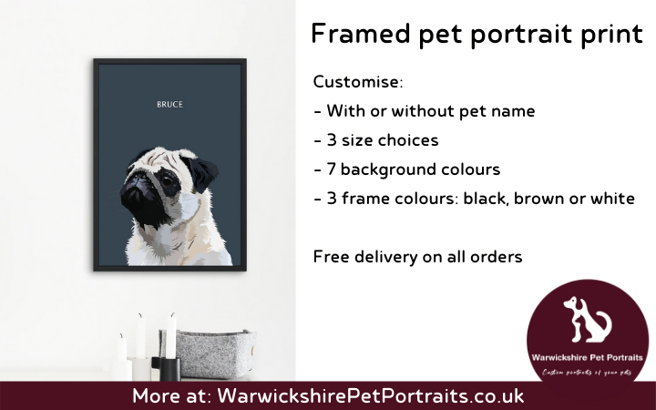 Warwickshire Pet Portraits image 4