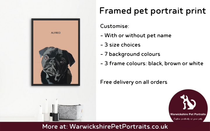 Warwickshire Pet Portraits image 5