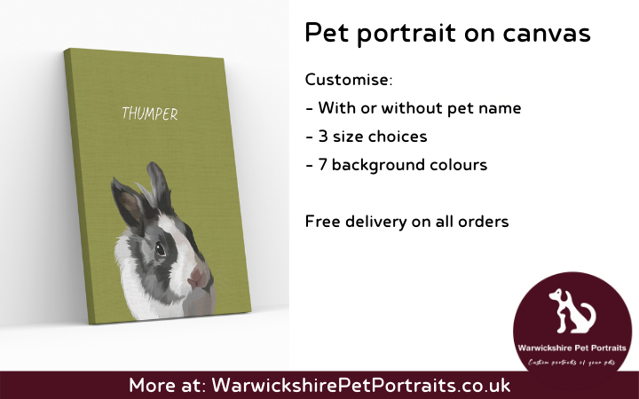 Warwickshire Pet Portraits image 6