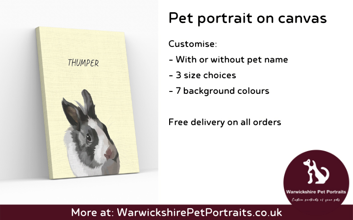 Warwickshire Pet Portraits image 7
